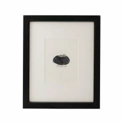 Holly Socrates Sleepy Hugs