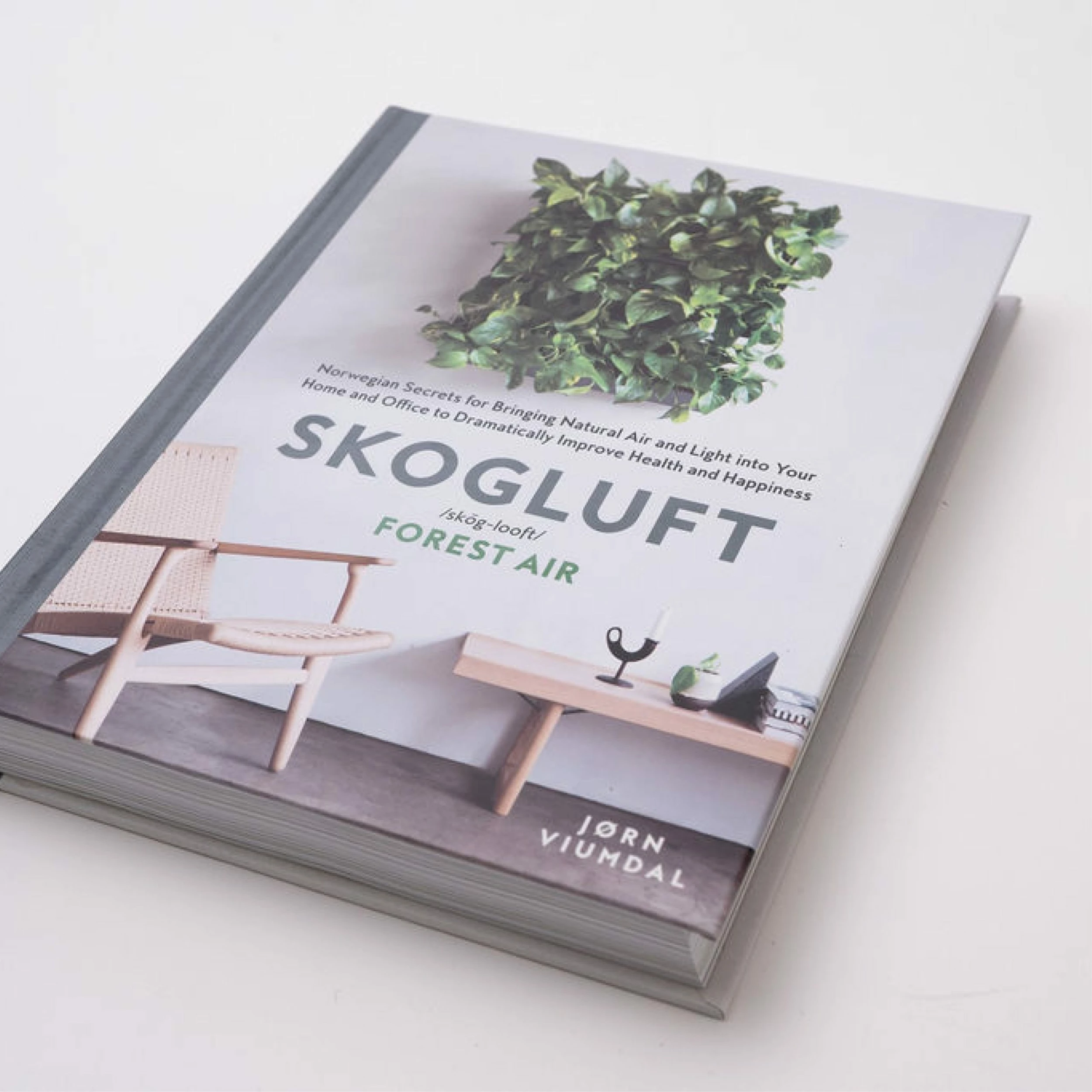 Holly Socrates Skogluft (Forrest Air) - Image 2