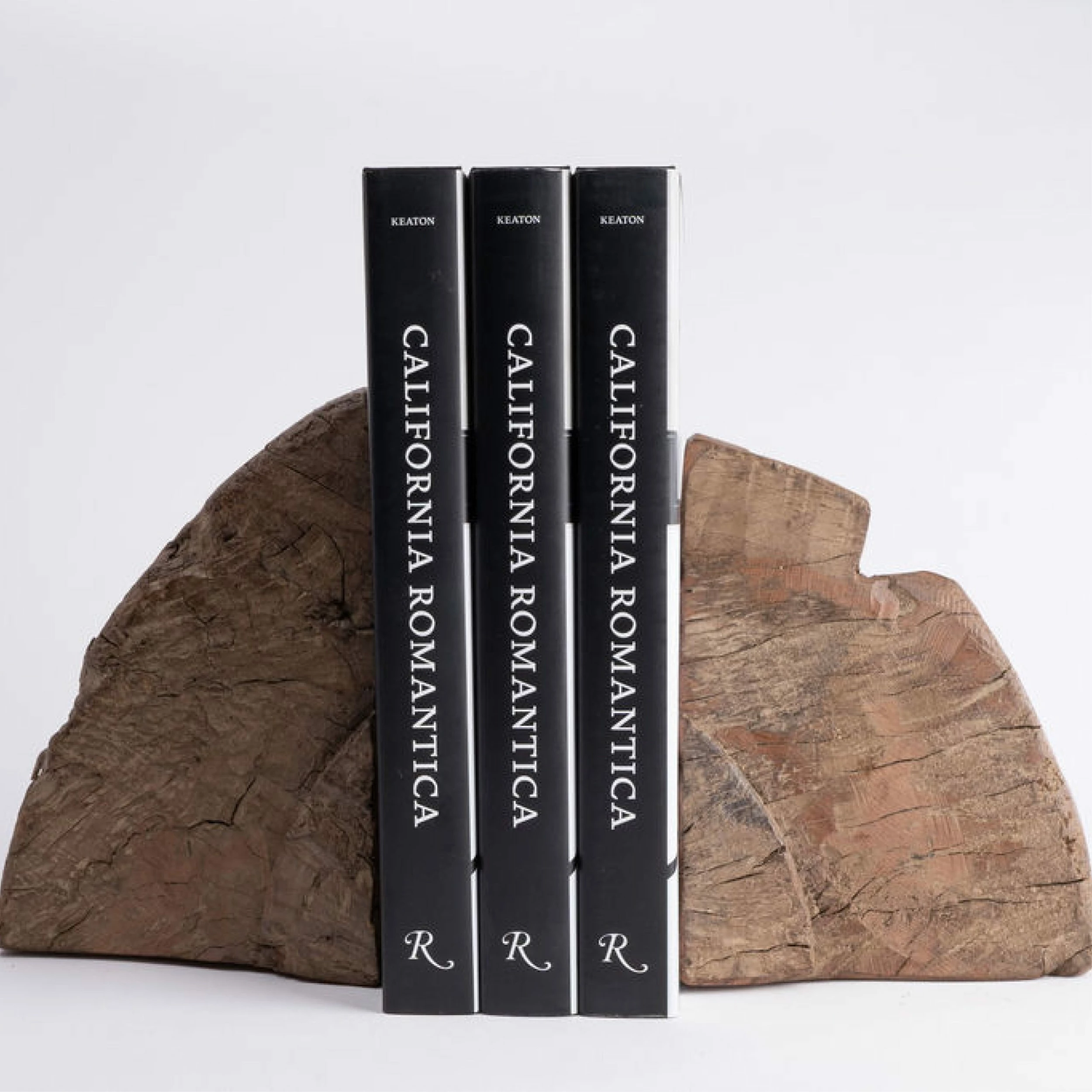 Holly Socrates Found Bookends